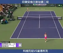 九游体育app-重磅！科维托娃爆冷击败热火风云突变金州勇士赛前刷新队史纪录，广东宏远转会期完成体检的简单介绍